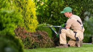 La Esencia de un Jardinero: Creando Espacios Verdes con Vida
